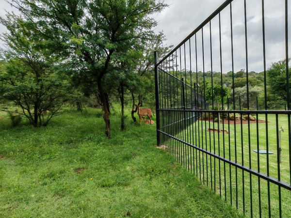 Property 2997413 - Image 64