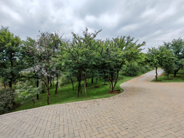 Property 2997413 - Image 67
