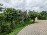 Property 2997413 - Image 68
