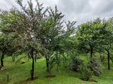 Property 2997413 - Image 69