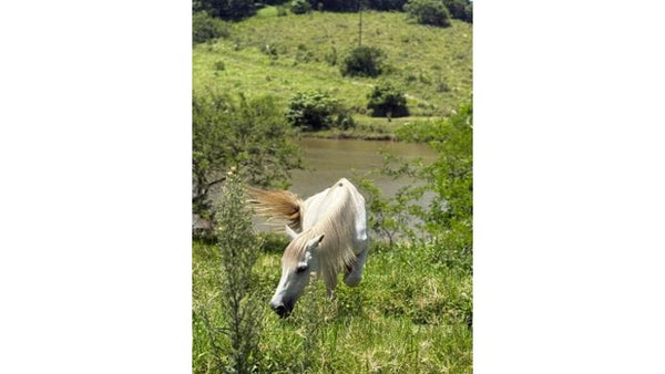 Property 2997618 - Image 13