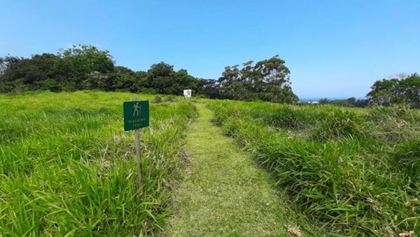 Property 2997618 - Image 5