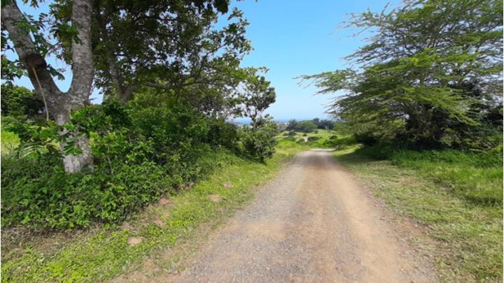 Property 2997618 - Image 6