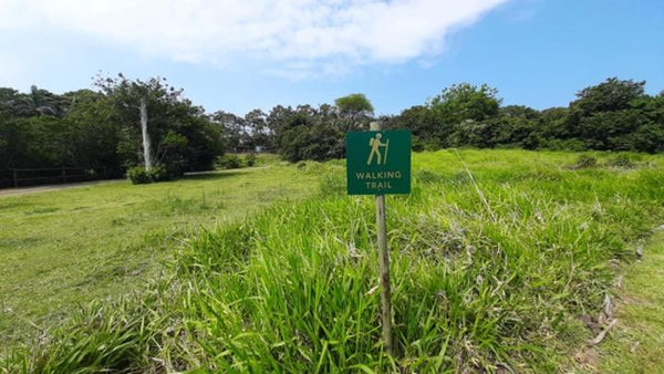 Property 2997618 - Image 8