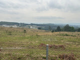Property 3000187 - Image 3