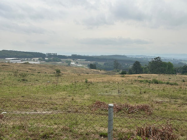 Property 3000187 - Image 3