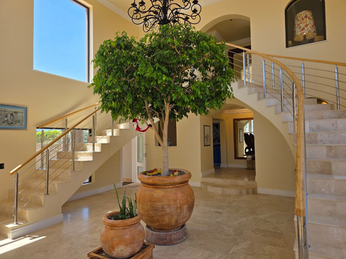 Property 3000378 - Image 8