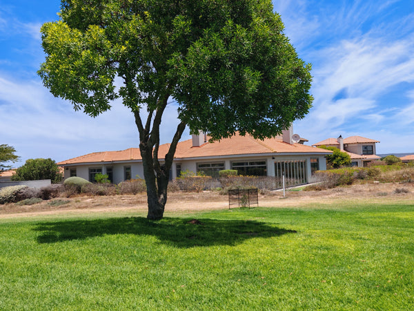 Property 3005511 - Image 7