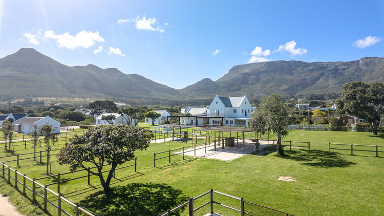 Property 3008089 - Image 1