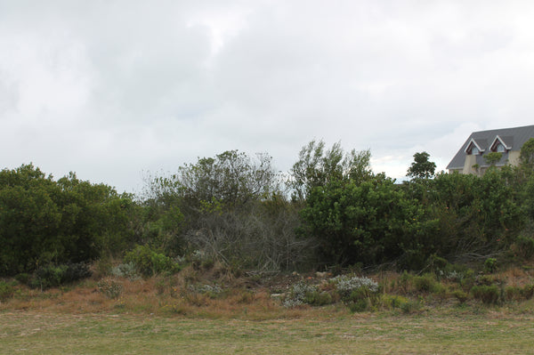 Property 3015749 - Image 10