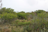 Property 3015749 - Image 11
