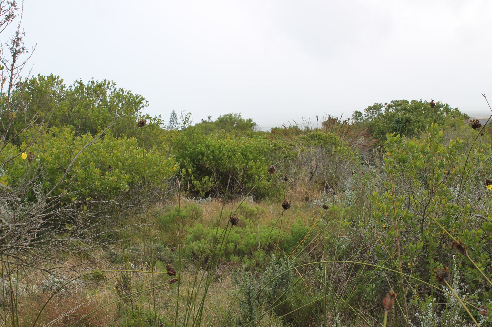 Property 3015749 - Image 11