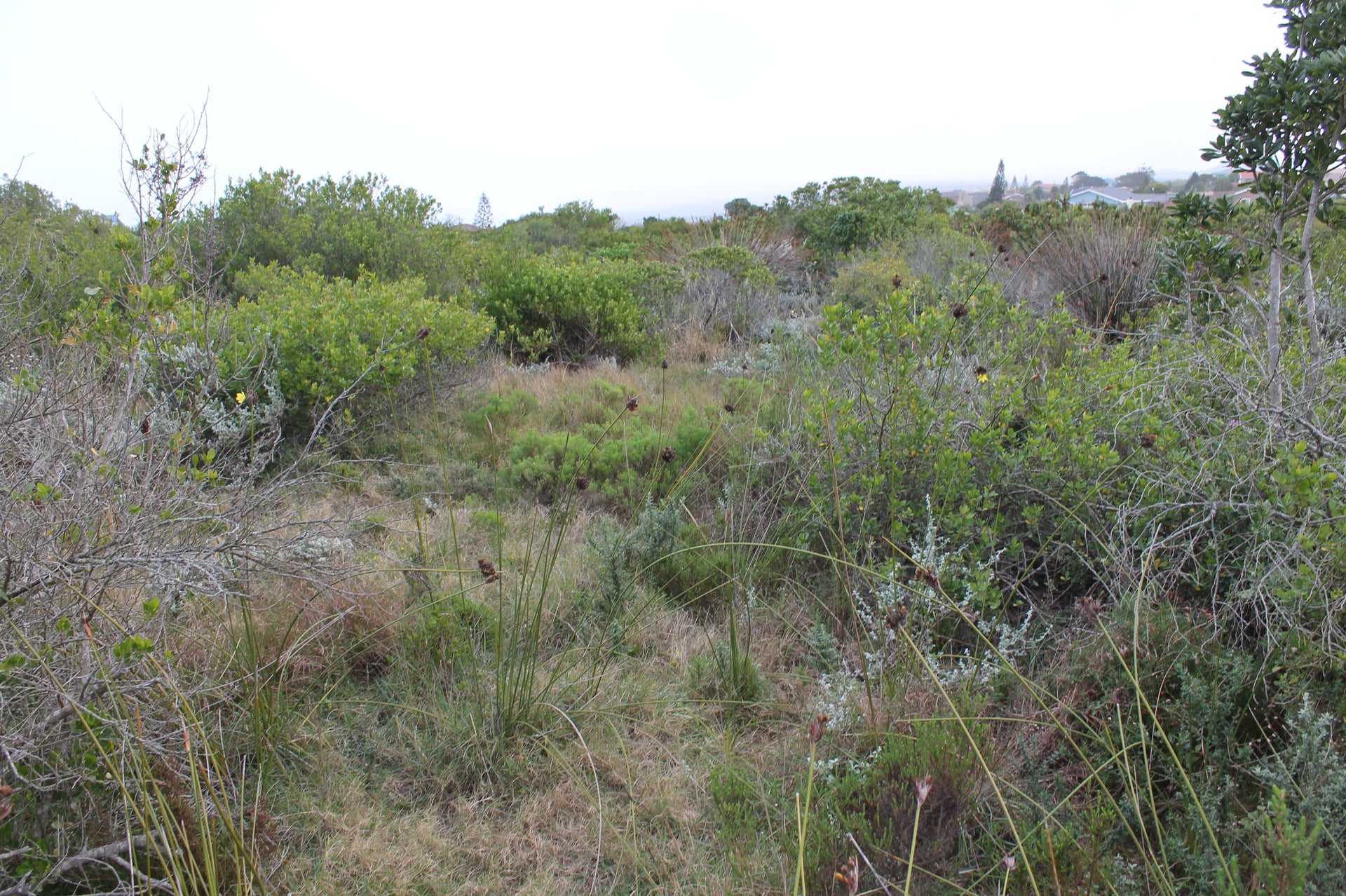Property 3015749 - Image 12