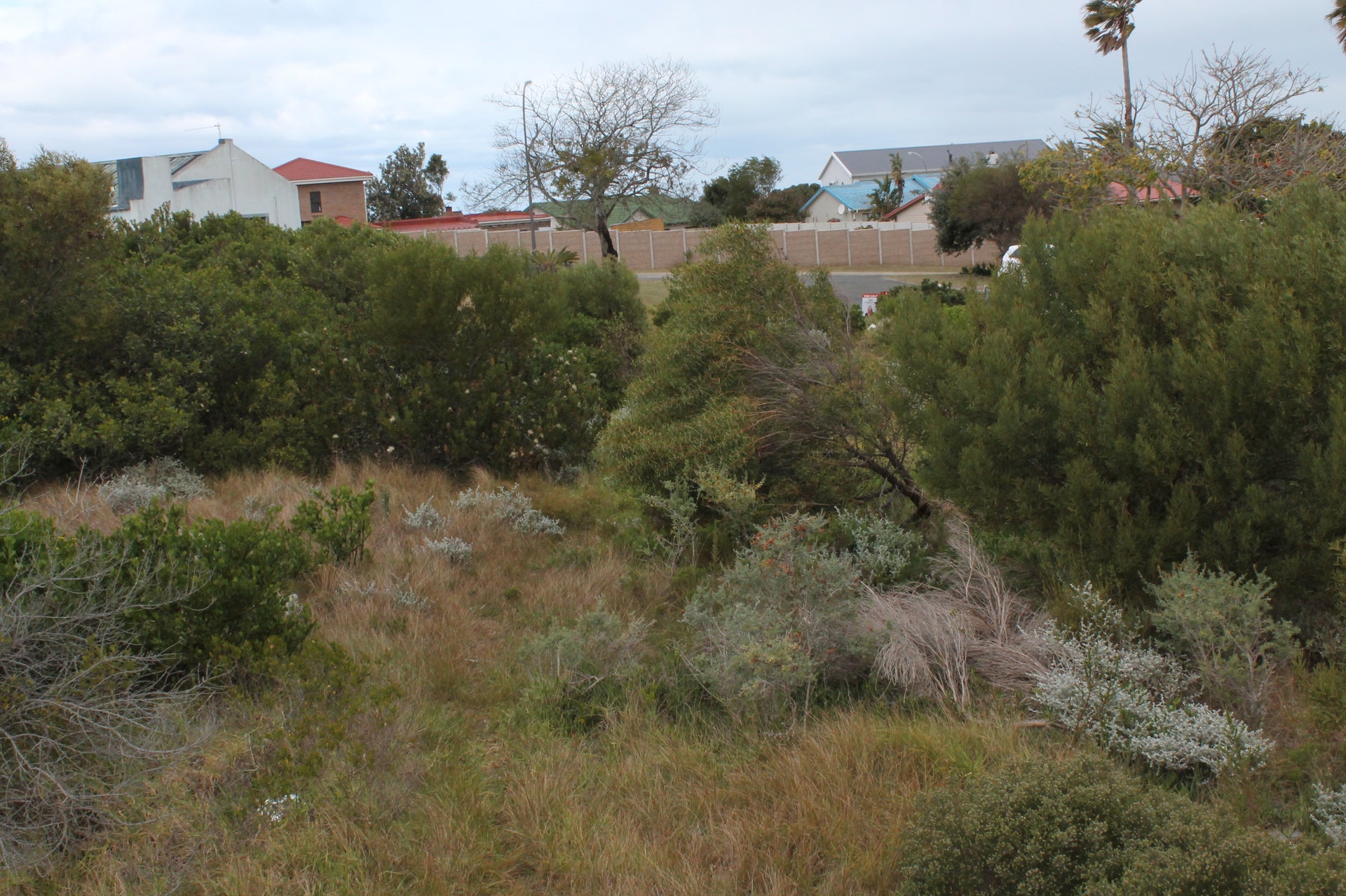Property 3015749 - Image 3