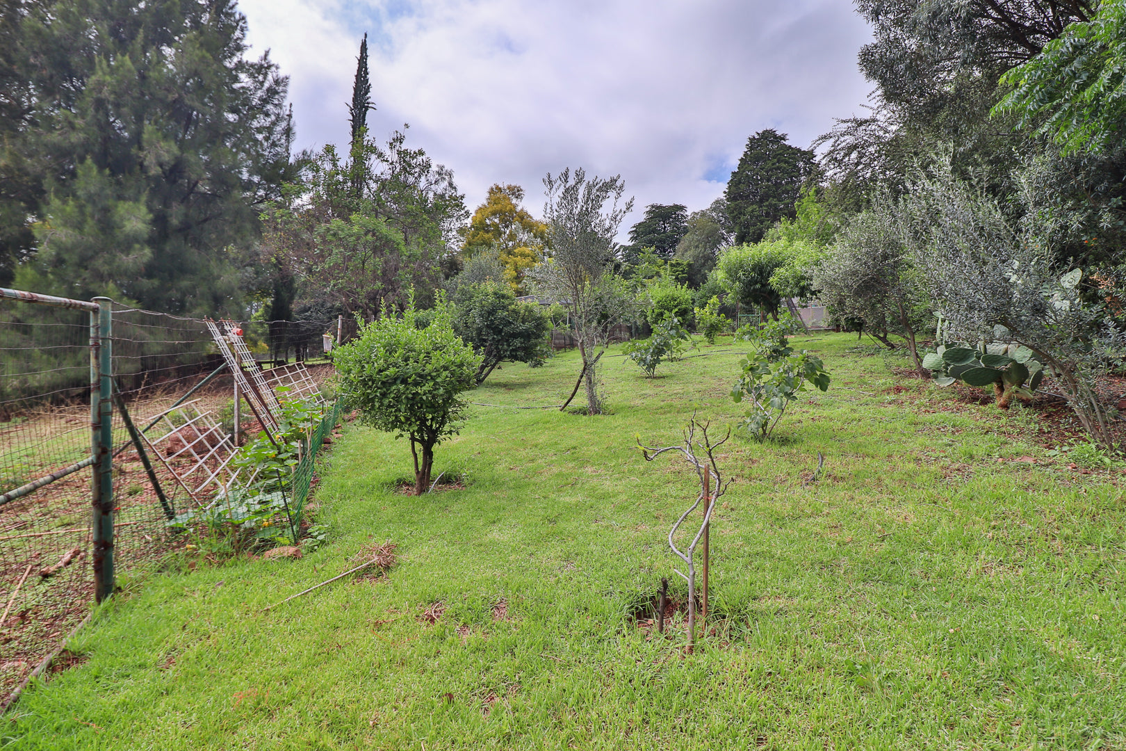 Property 3017154 - Image 53