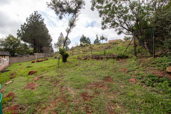 Property 3017154 - Image 54
