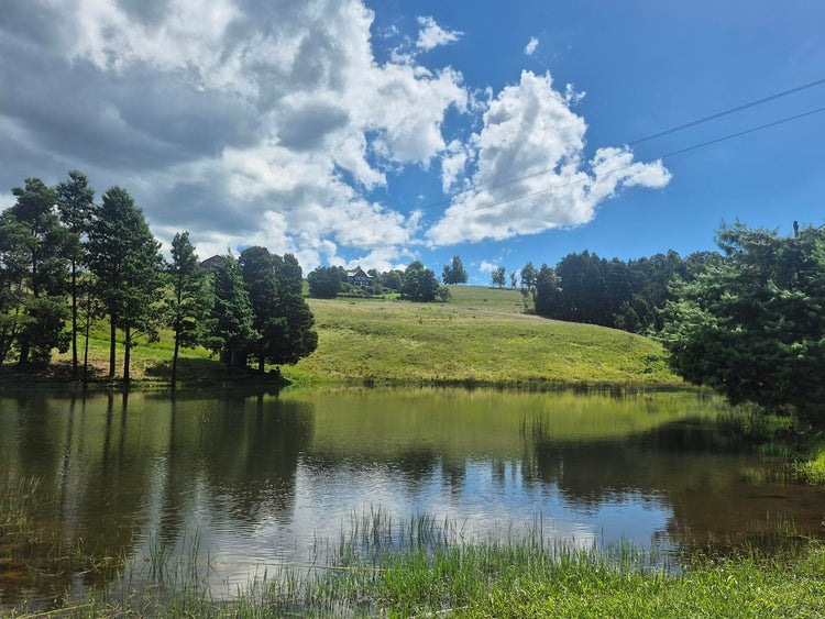 Property 3021178 - Image 82