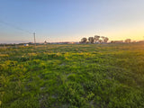 Property 302216 - Image 10