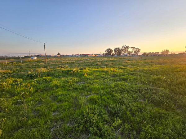 Property 302216 - Image 10
