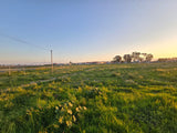 Property 302216 - Image 3