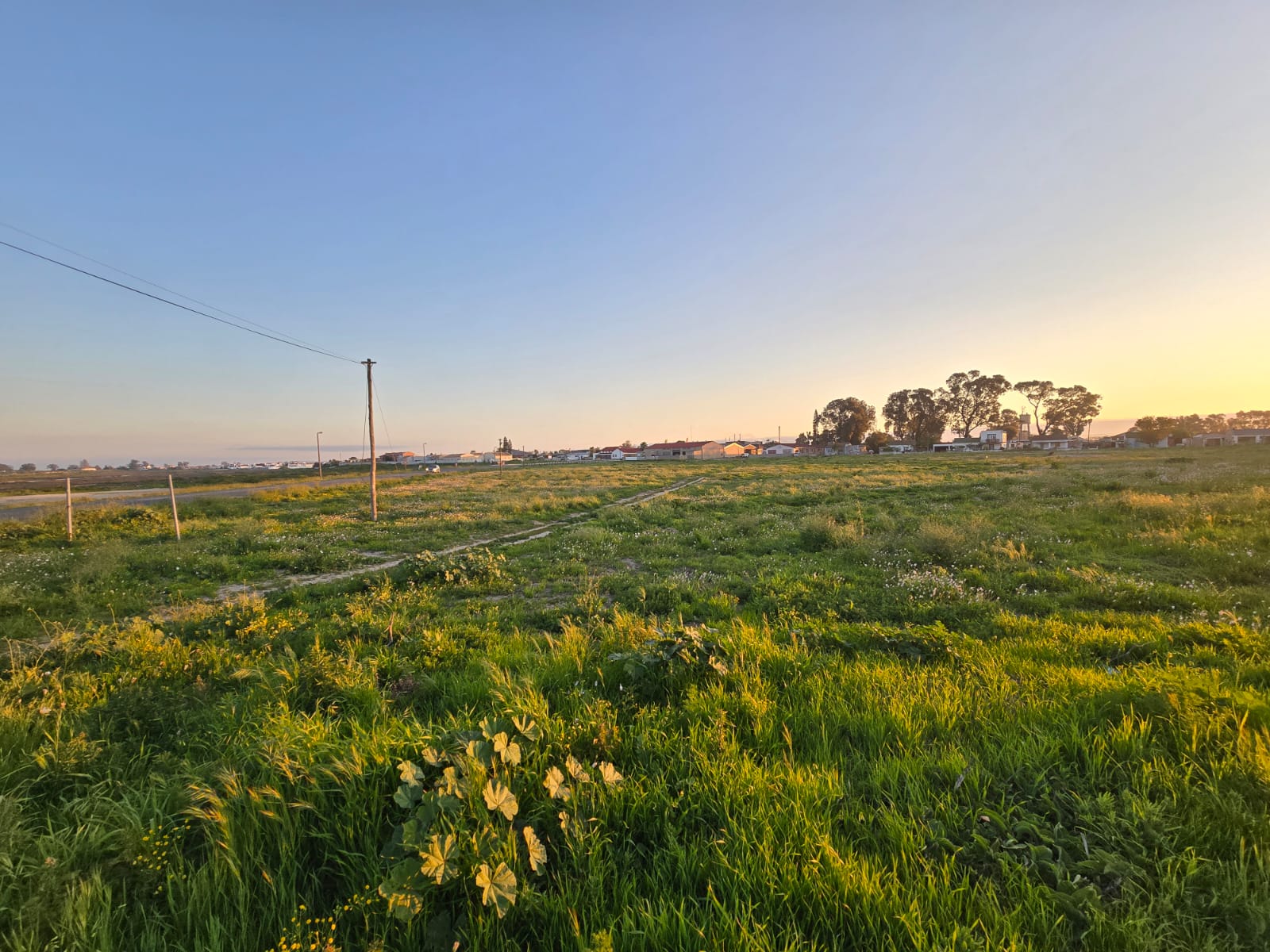 Property 302216 - Image 3
