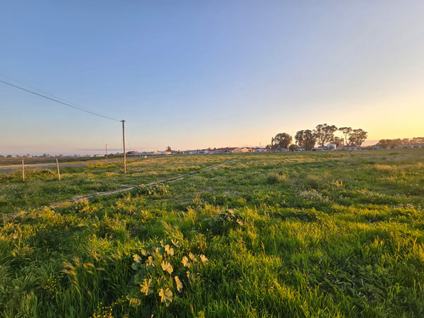 Property 302216 - Image 3