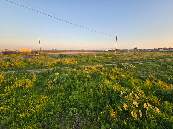 Property 302216 - Image 4