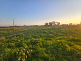 Property 302216 - Image 6