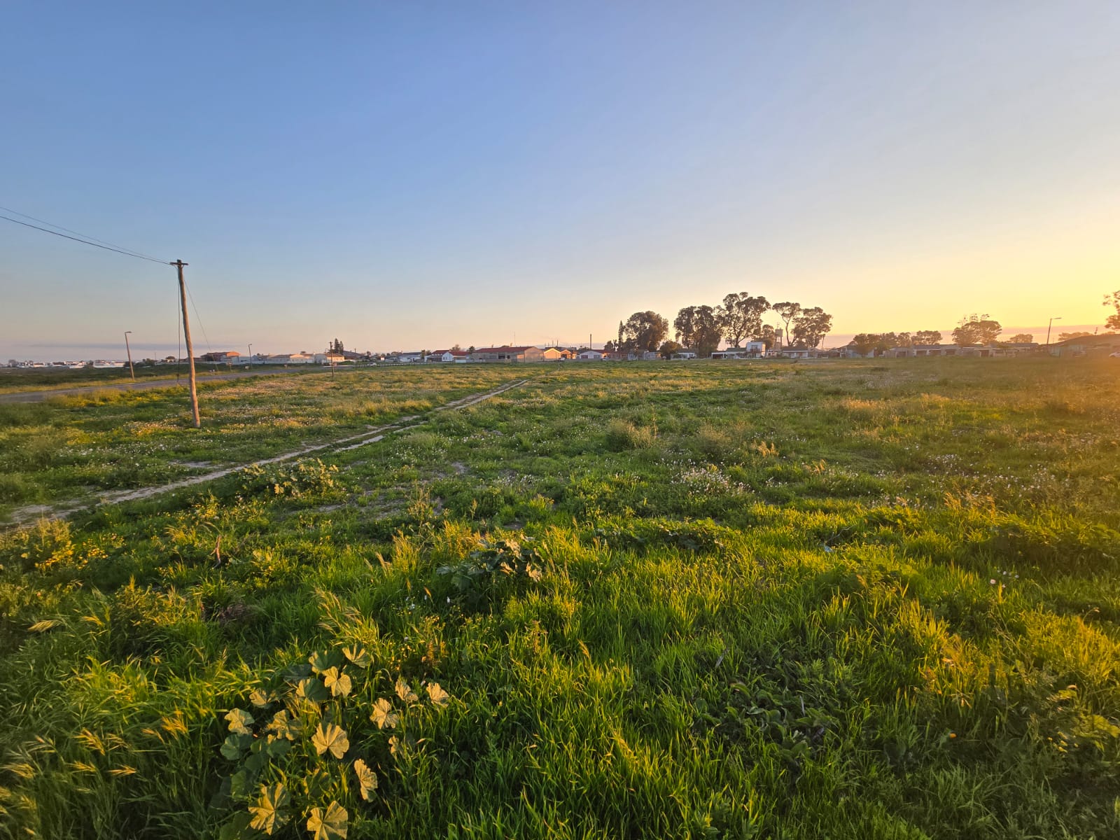 Property 302216 - Image 6