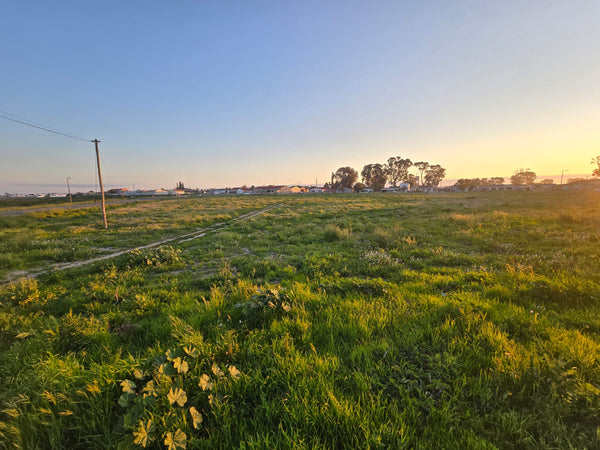 Property 302216 - Image 6