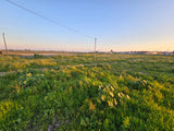 Property 302216 - Image 7