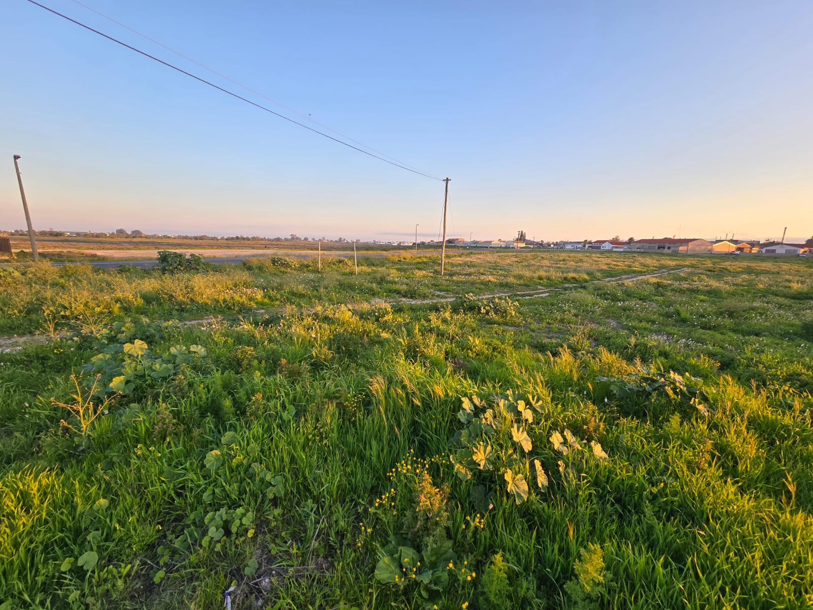 Property 302216 - Image 7