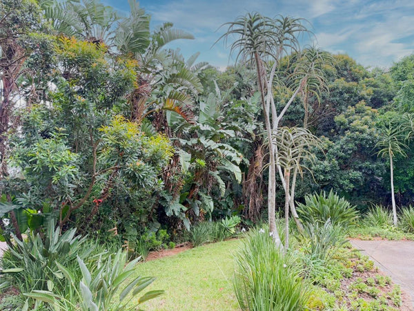 Property 3028847 - Image 34