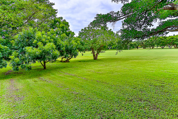 Property 3031094 - Image 6