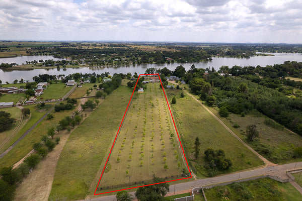 Property 3031481 - Image 1