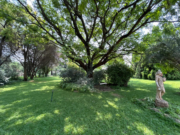 Property 3037884 - Image 18