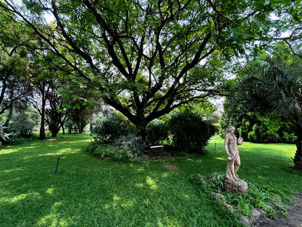 Property 3037884 - Image 33