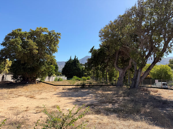 Property 3038678 - Image 8