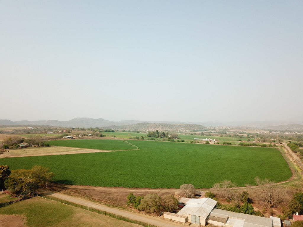 Property 3039888 - Image 3