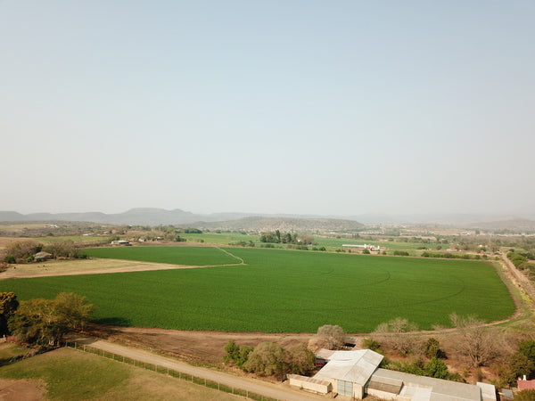 Property 3039888 - Image 3