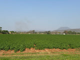 Property 3039888 - Image 9