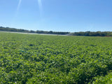 Property 3039905 - Image 21