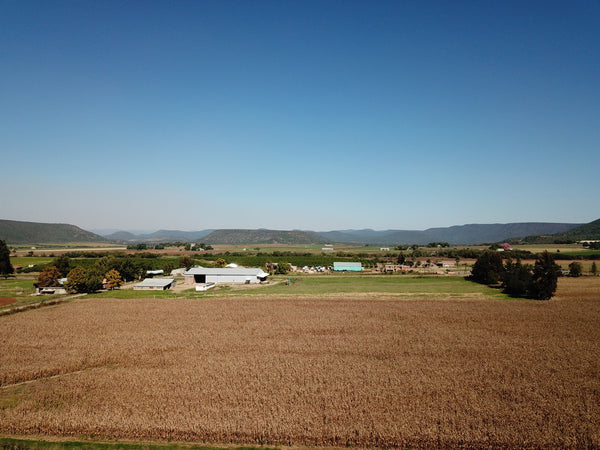 Property 3039905 - Image 38