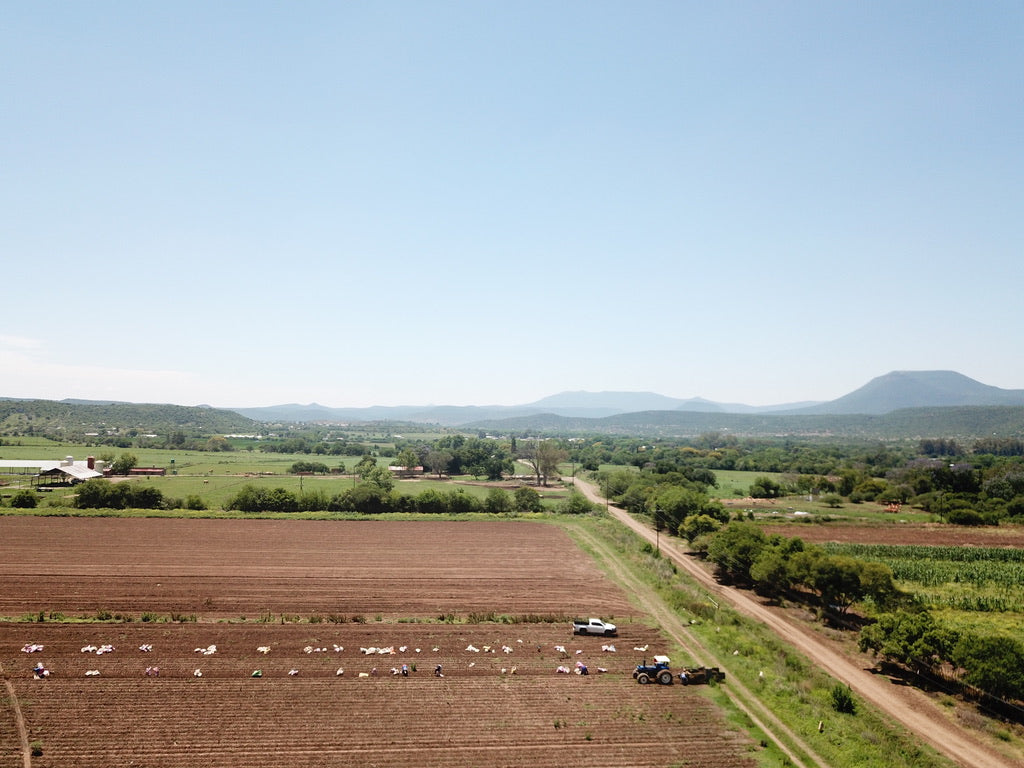 Property 3039905 - Image 6