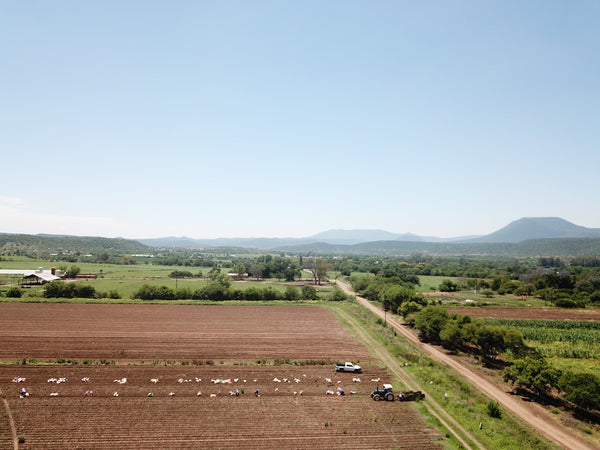 Property 3039905 - Image 6
