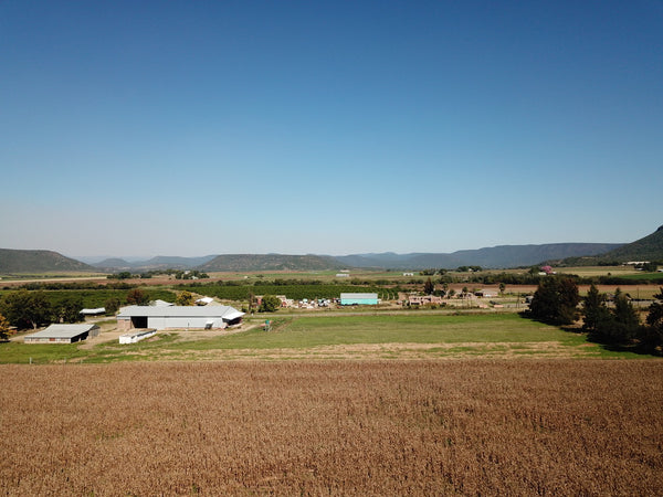 Property 3039905 - Image 9