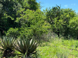 Property 3039915 - Image 15