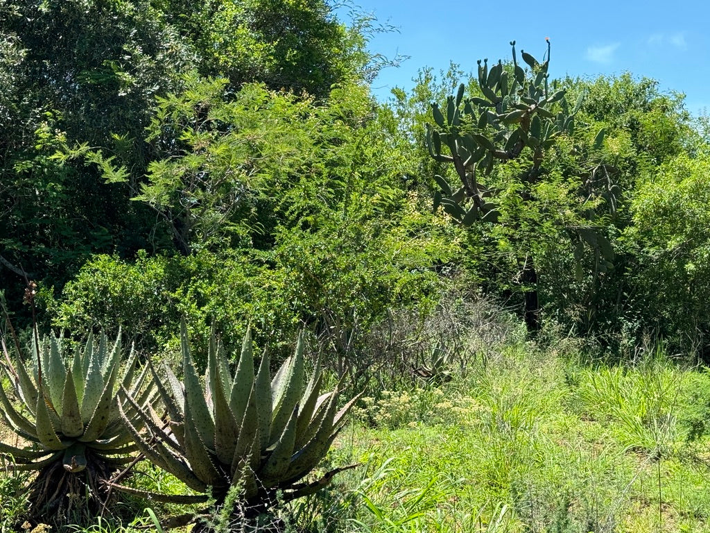 Property 3039915 - Image 15