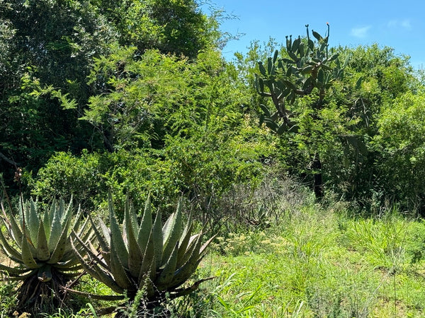 Property 3039915 - Image 15