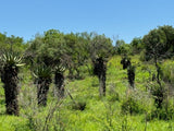 Property 3039915 - Image 16